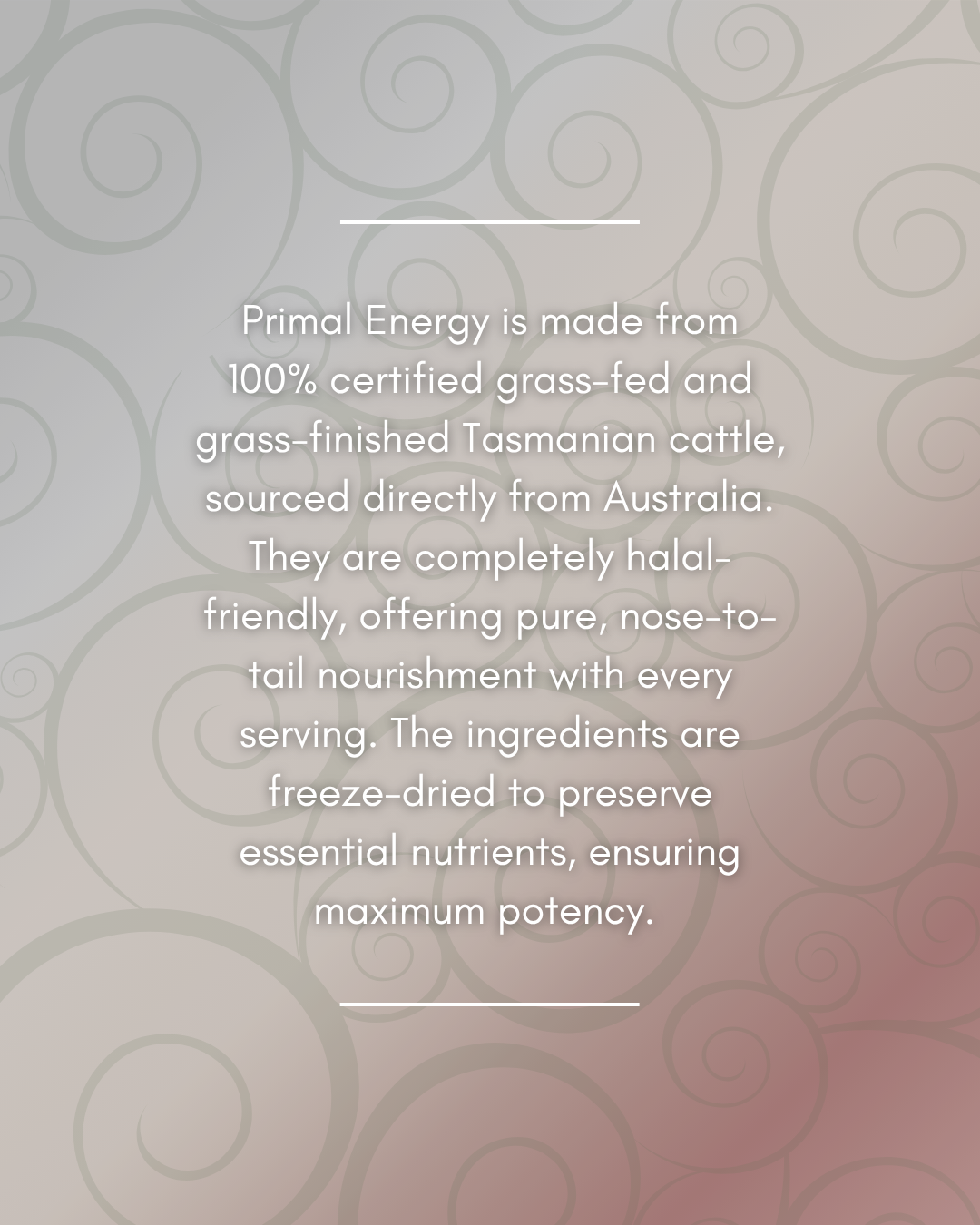 Primal Energy Women's Formula