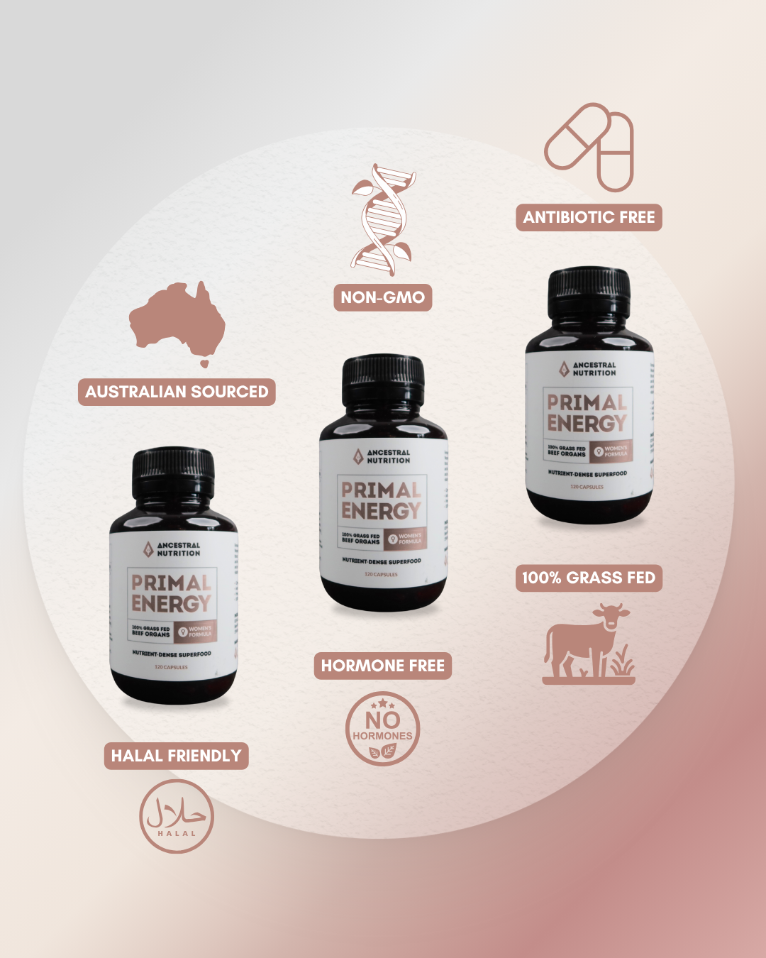 Primal Energy Women's Formula