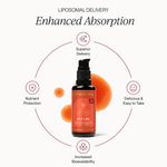 Liposomal B12, B6 and Folate Liquid 3