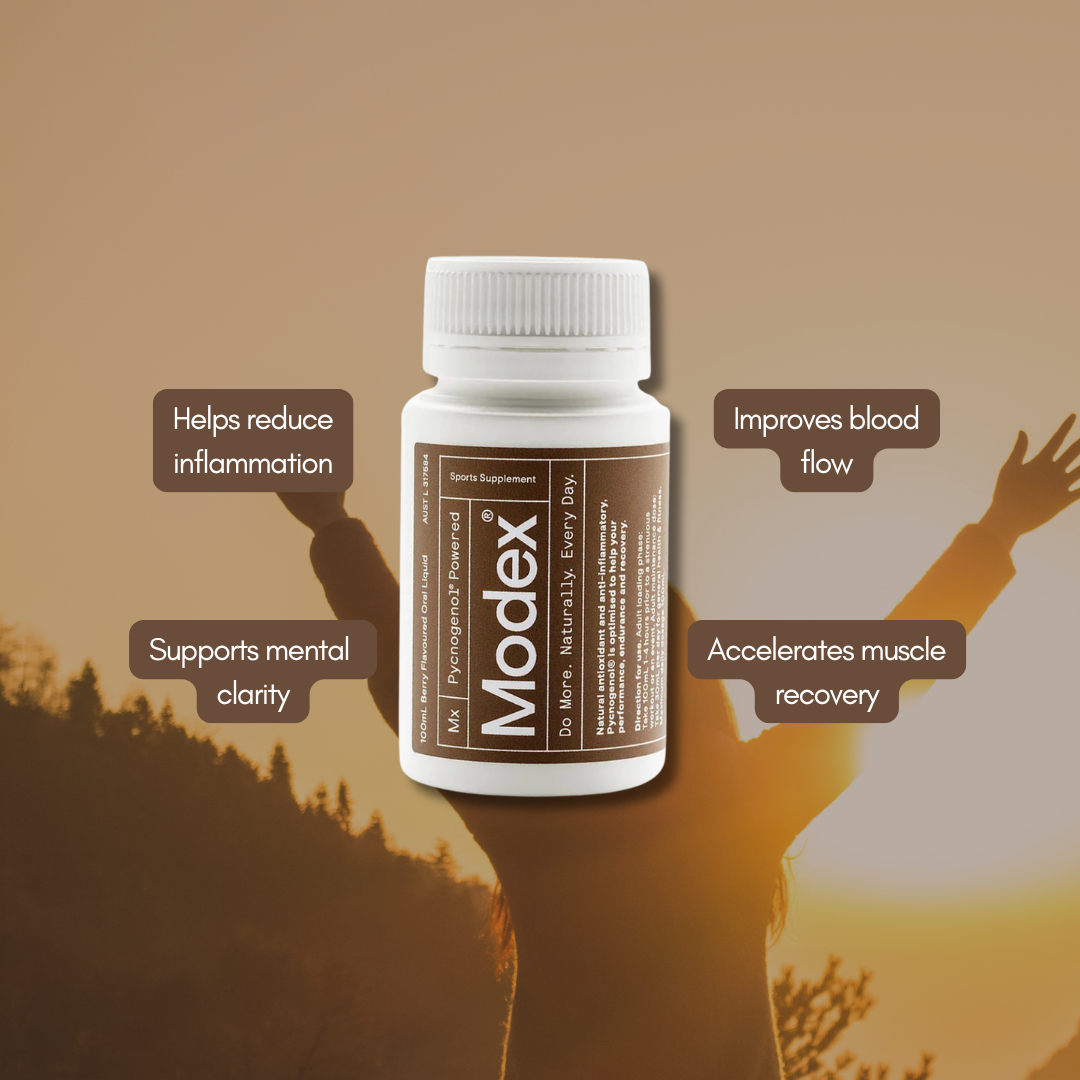 Modex Daily